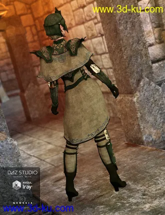 3D打印模型Elven Knight Armor for Genesis 3 Female(s)的图片