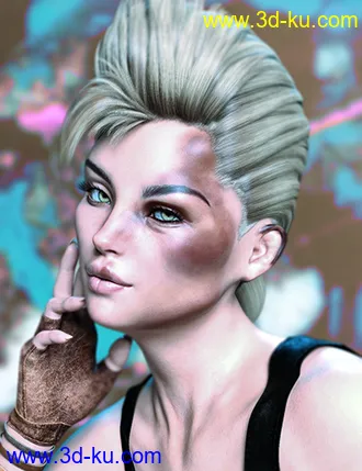 3D打印模型Face Bruises Morphs for Genesis 3 & 8 Female(s)的图片