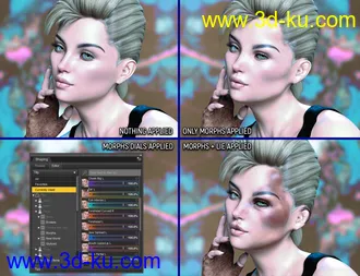 3D打印模型Face Bruises Morphs for Genesis 3 & 8 Female(s)的图片