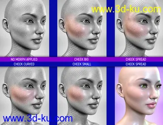 3D打印模型Face Bruises Morphs for Genesis 3 & 8 Female(s)的图片