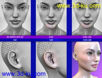 3D打印模型Face Bruises Morphs for Genesis 3 & 8 Female(s)的图片