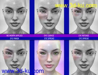 3D打印模型Face Bruises Morphs for Genesis 3 & 8 Female(s)的图片