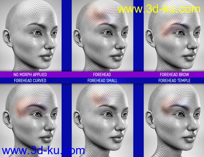 Face Bruises Morphs for Genesis 3 & 8 Female(s)模型的图片8