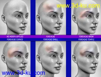 3D打印模型Face Bruises Morphs for Genesis 3 & 8 Female(s)的图片