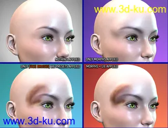 3D打印模型Face Bruises Morphs for Genesis 3 & 8 Female(s)的图片