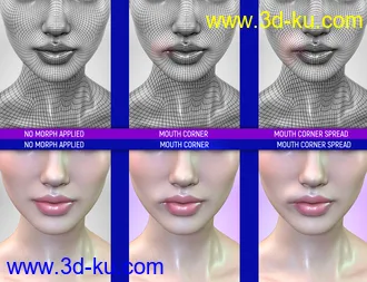 3D打印模型Face Bruises Morphs for Genesis 3 & 8 Female(s)的图片