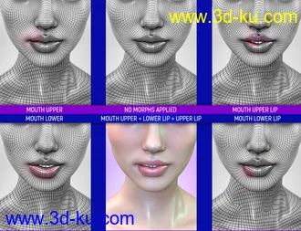 3D打印模型Face Bruises Morphs for Genesis 3 & 8 Female(s)的图片