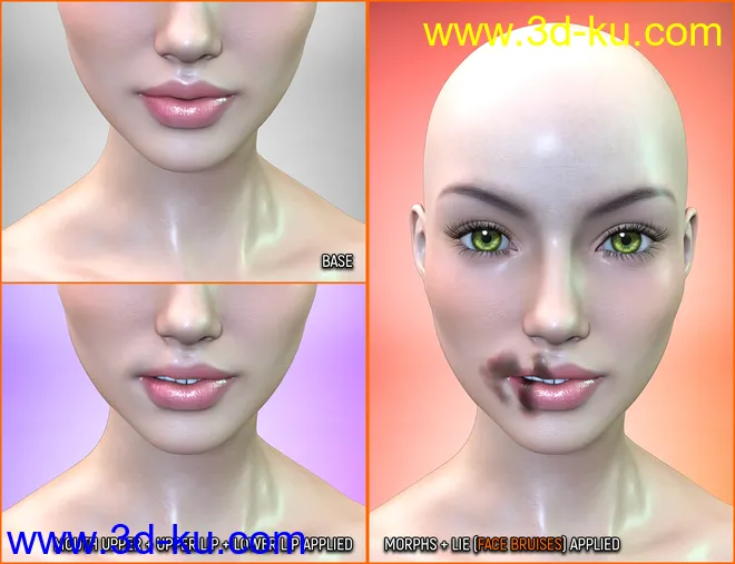 Face Bruises Morphs for Genesis 3 & 8 Female(s)模型的图片13