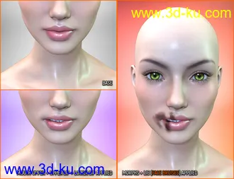 3D打印模型Face Bruises Morphs for Genesis 3 & 8 Female(s)的图片