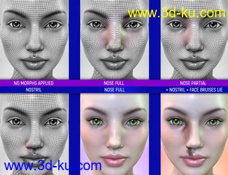 3D打印模型Face Bruises Morphs for Genesis 3 & 8 Female(s)的图片