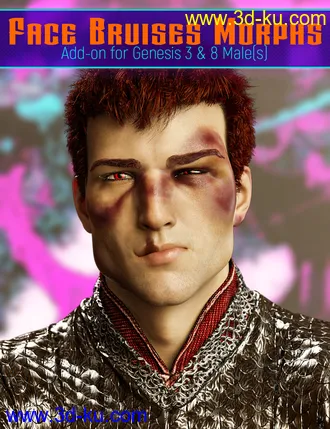 3D打印模型Face Bruises Morphs for Genesis 3 and 8 Male(s)的图片