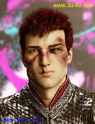 3D打印模型Face Bruises Morphs for Genesis 3 and 8 Male(s)的图片