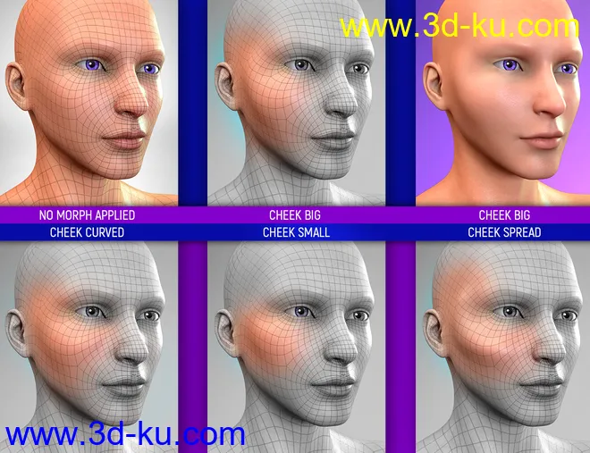 Face Bruises Morphs for Genesis 3 and 8 Male(s)模型的图片4
