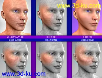 3D打印模型Face Bruises Morphs for Genesis 3 and 8 Male(s)的图片