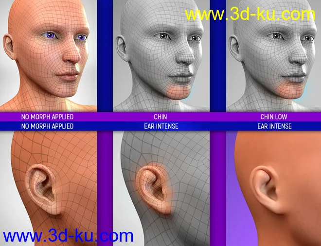 Face Bruises Morphs for Genesis 3 and 8 Male(s)模型的图片5