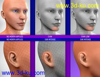 3D打印模型Face Bruises Morphs for Genesis 3 and 8 Male(s)的图片