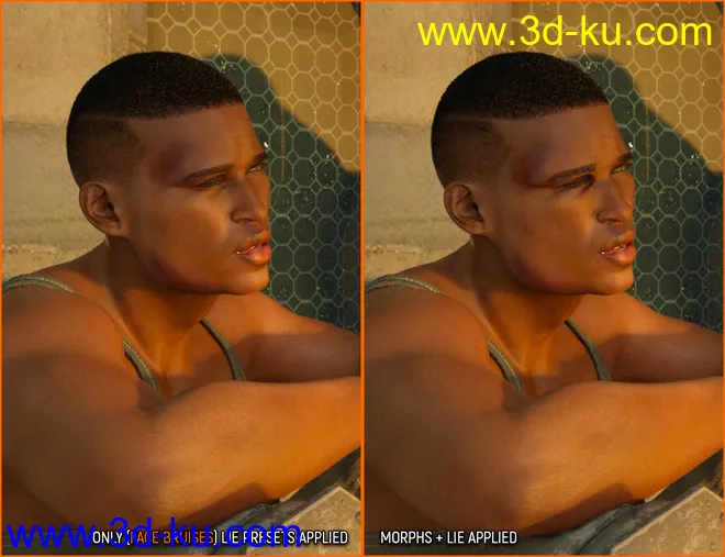 Face Bruises Morphs for Genesis 3 and 8 Male(s)模型的图片6