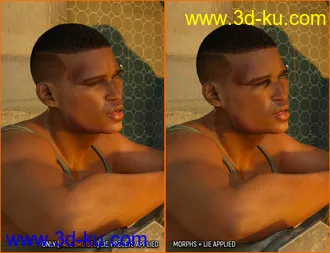 3D打印模型Face Bruises Morphs for Genesis 3 and 8 Male(s)的图片