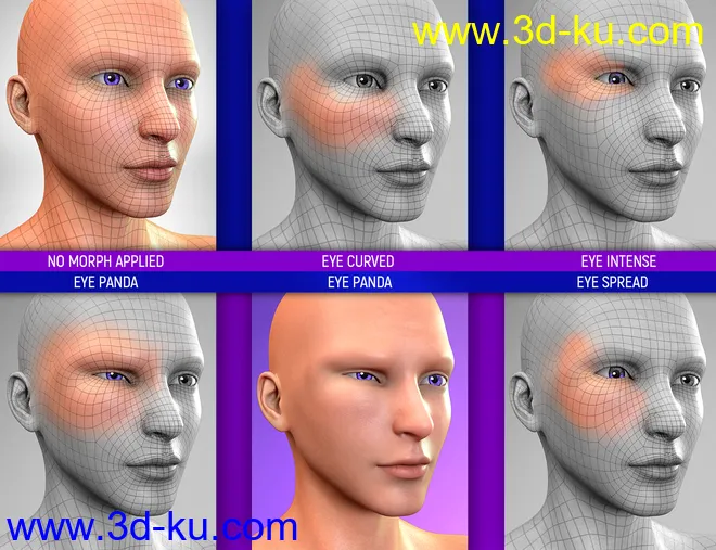 Face Bruises Morphs for Genesis 3 and 8 Male(s)模型的图片7