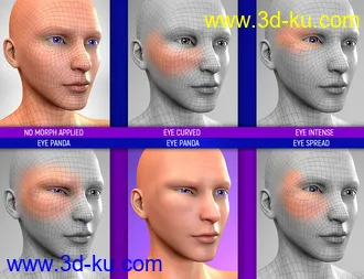 3D打印模型Face Bruises Morphs for Genesis 3 and 8 Male(s)的图片