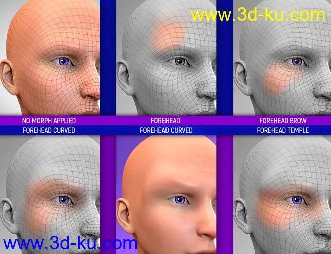 Face Bruises Morphs for Genesis 3 and 8 Male(s)模型的图片8