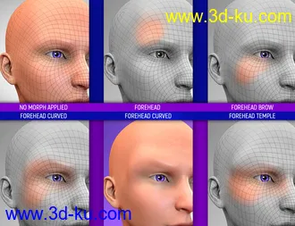3D打印模型Face Bruises Morphs for Genesis 3 and 8 Male(s)的图片