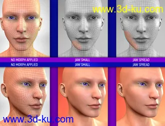 3D打印模型Face Bruises Morphs for Genesis 3 and 8 Male(s)的图片