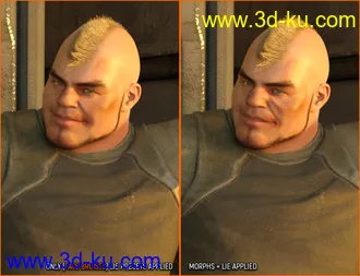 3D打印模型Face Bruises Morphs for Genesis 3 and 8 Male(s)的图片