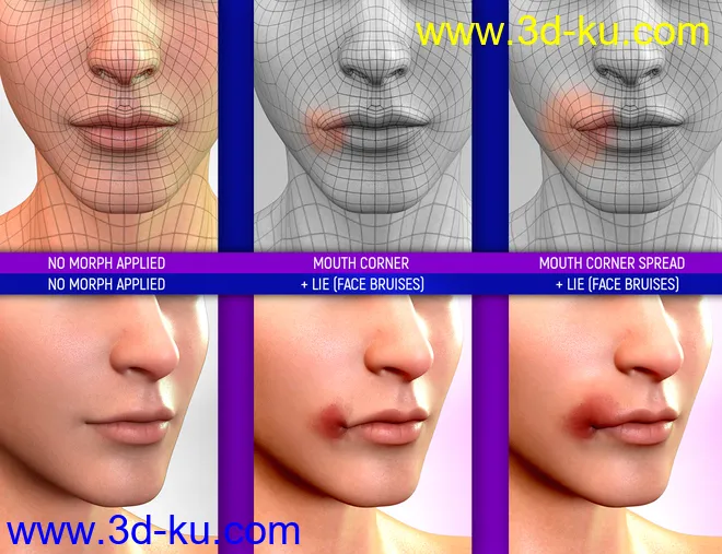 Face Bruises Morphs for Genesis 3 and 8 Male(s)模型的图片11