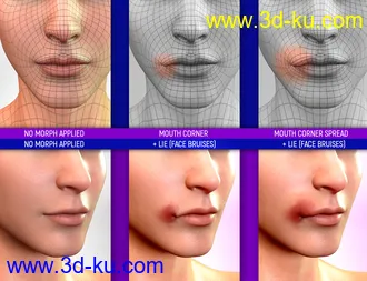 3D打印模型Face Bruises Morphs for Genesis 3 and 8 Male(s)的图片