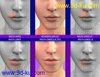 3D打印模型Face Bruises Morphs for Genesis 3 and 8 Male(s)的图片