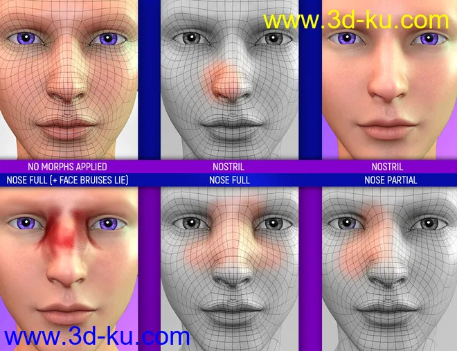 Face Bruises Morphs for Genesis 3 and 8 Male(s)模型的图片13