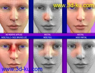 3D打印模型Face Bruises Morphs for Genesis 3 and 8 Male(s)的图片