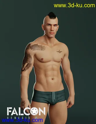 3D打印模型Falcon Character and Hair for Genesis 8 Male的图片