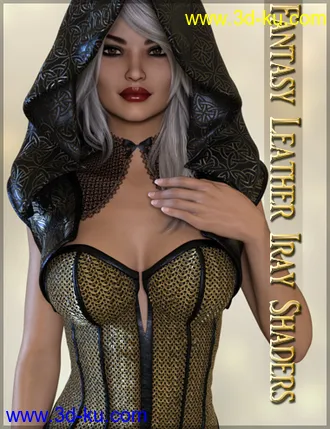3D打印模型Fantasy Leather Iray Shaders的图片