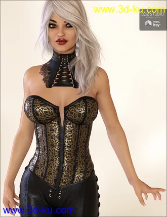 3D打印模型Fantasy Leather Iray Shaders的图片