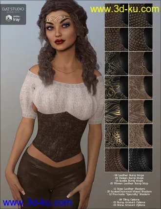 3D打印模型Fantasy Leather Iray Shaders的图片
