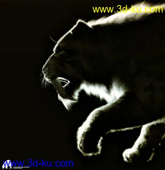 3D打印模型Felidae by AM - Smilodon Populator的图片