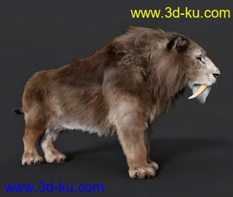 3D打印模型Felidae by AM - Smilodon Populator - Companion Pack的图片