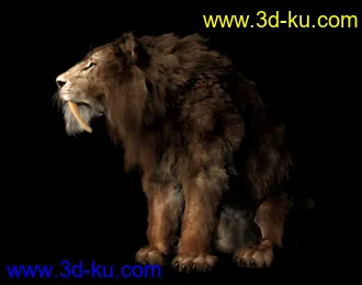 3D打印模型Felidae by AM - Smilodon Populator - Companion Pack的图片