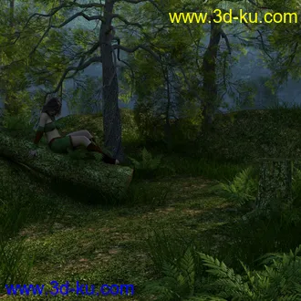 3D打印模型Foggy Forest的图片