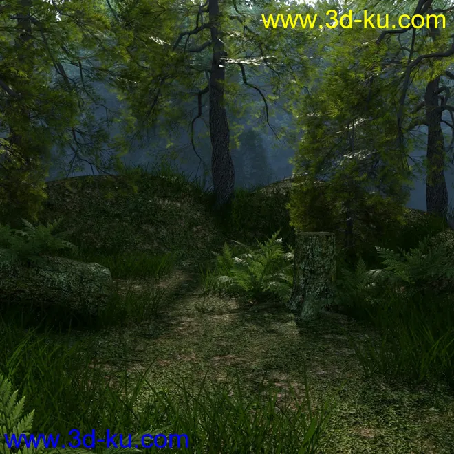 Foggy Forest模型的图片4