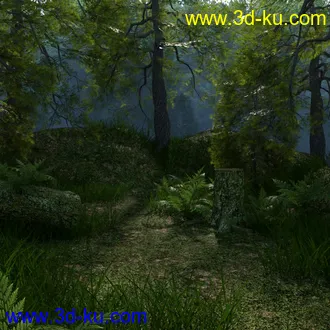 3D打印模型Foggy Forest的图片