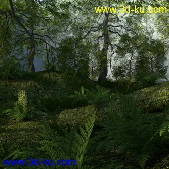 3D打印模型Foggy Forest的图片