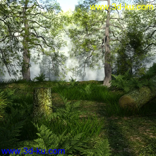 Foggy Forest模型的图片6