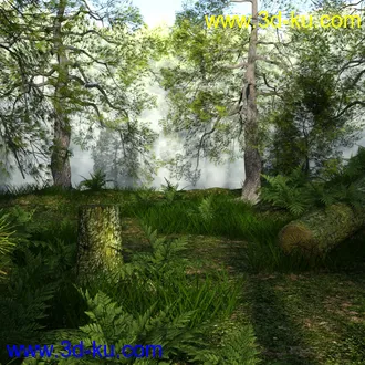 3D打印模型Foggy Forest的图片