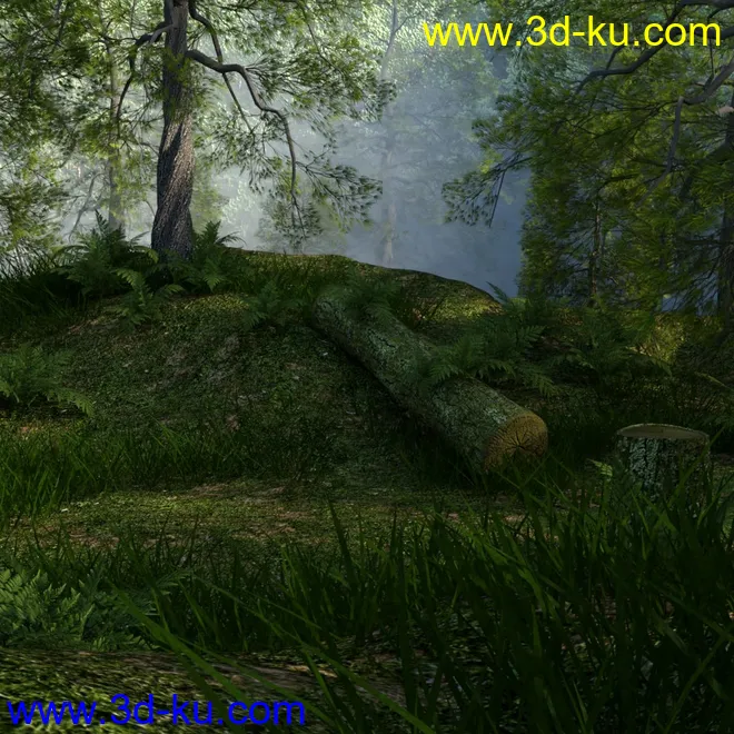 Foggy Forest模型的图片7