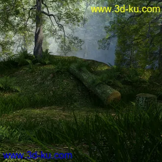 3D打印模型Foggy Forest的图片