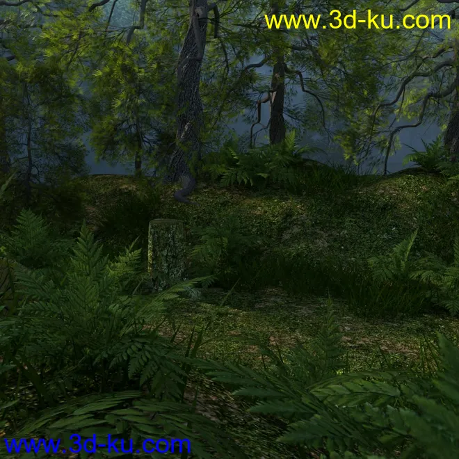 Foggy Forest模型的图片8