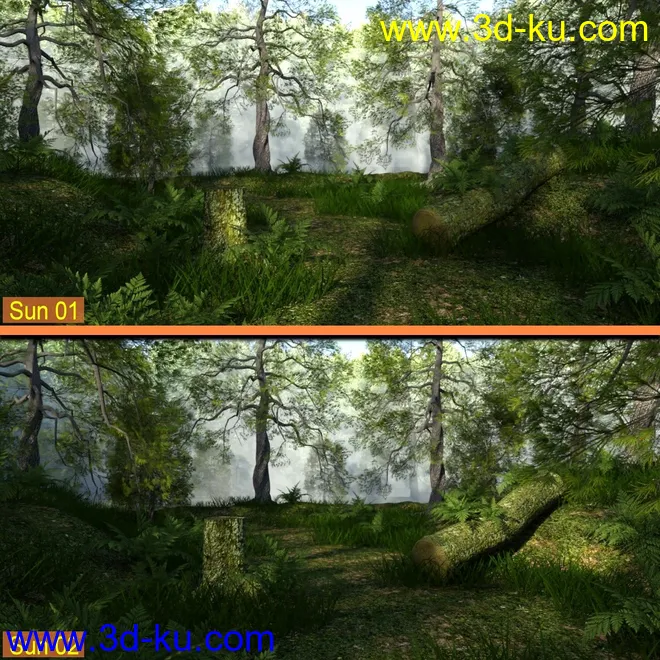 Foggy Forest模型的图片9